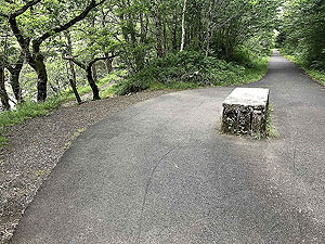 Meall Liath. Choice for next section. Trail path on the left