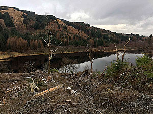 Kinlochard 5 lochs. Very small loch