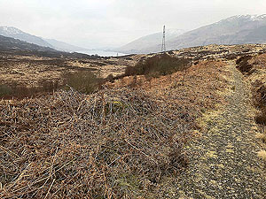Kinlochard 5 lochs. Looking back at Loch Arklet