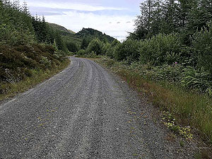 Kinlochard 5 lochs. Out of the tress for a while