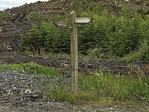 Kinlochard 5 lochs. To Inversnaid