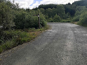 Kinlochard 5 lochs. Approaching the path