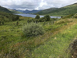 Kinlochard 5 lochs. Another view from the road