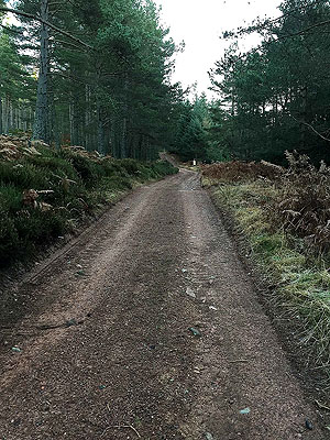 Aboyne games hill run. Just you and the flies