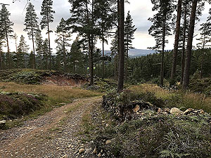 Aboyne games hill run. Views start to open out