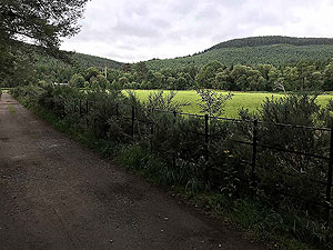 Aboyne games hill run. Path is very flat in this section
