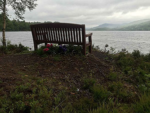 Past The Stank. On a dull morning