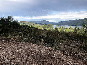 Past The Stank. Image from Past The Stank