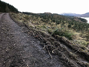 Past The Stank. Image from Past The Stank