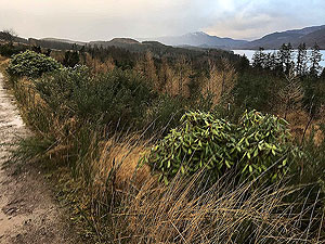 Past The Stank. Sometimes the rain is going to get you