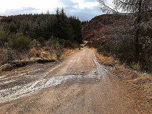 Past The Stank. Image from Past The Stank