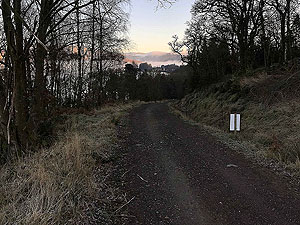 Past The Stank. Forest road from the car park