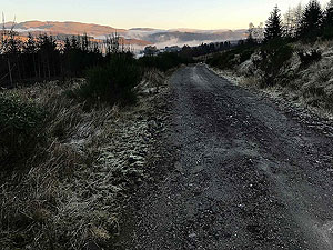 Past The Stank. Image from Past The Stank