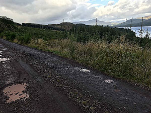 Past The Stank. Image from Past The Stank