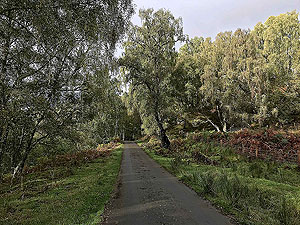 Glen Strathfarrar. Image from Glen Strathfarrar