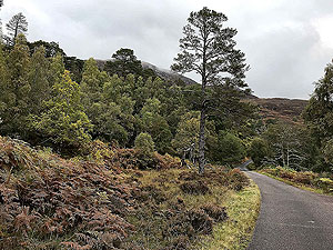 Glen Strathfarrar. Image from Glen Strathfarrar