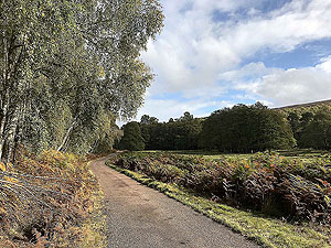 Glen Strathfarrar. Image from Glen Strathfarrar