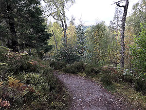 Plodda falls. Image from Plodda falls