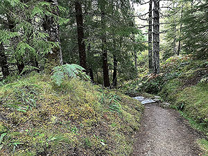 Plodda falls. Image from Plodda falls