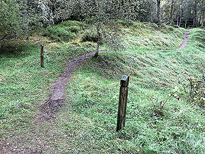 Plodda falls. Leave forest road for trail