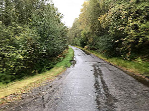Glen Affric. Road outside the car park