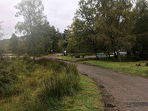 Glen Affric. 
