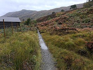 Glen Affric. Start of the short section of trail