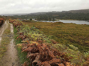 Glen Affric. Affric lodge in the distance