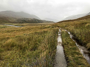 Glen Affric. Looking back at the river