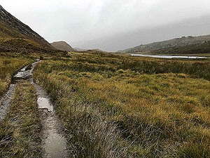 Glen Affric. Image from Glen Affric