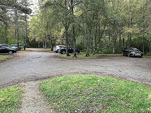 Glen Affric. Image from Glen Affric