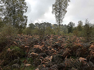 Coire an Loch loop. Image from Coire an Loch loop
