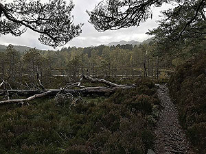 Coire an Loch loop. Image from Coire an Loch loop