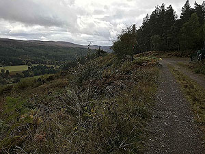Coire an Loch loop. Route starts to open up