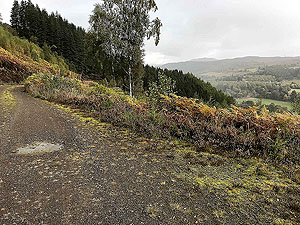 Coire an Loch loop. Over the glen