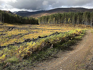 Coire an Loch loop. Back onto the old surface