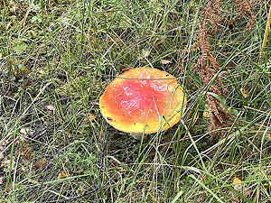 Coire an Loch loop. Looks dangerous