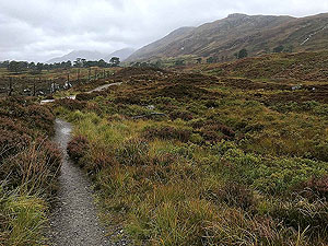 Loch Affric loop. Image from Loch Affric loop