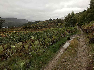 Loch Affric loop. Good quality surface at this point