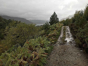 Loch Affric loop. Image from Loch Affric loop
