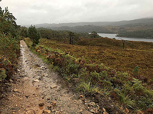 Loch Affric loop. Image from Loch Affric loop