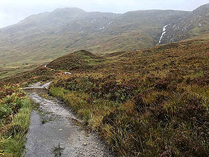 Loch Affric loop. Keep on the lookout for eagles