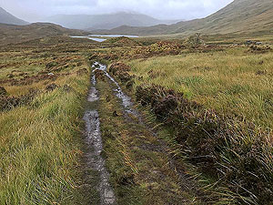 Loch Affric loop