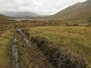 Loch Affric loop. Image from Loch Affric loop