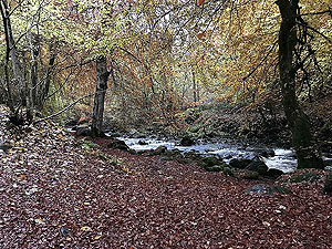 Craig Hill loop. Image from Craig Hill loop