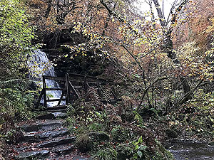 Craig Hill loop. One of the many bridges