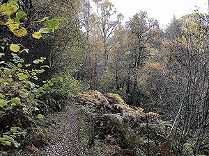 Craig Hill loop. Looking back