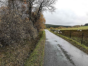 Craig Hill loop. For a short section