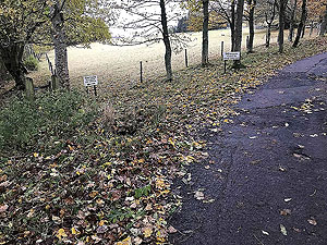 Craig Hill loop. Walkers way well signposted