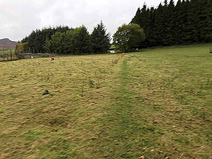 Craig Hill loop. Short section across the field